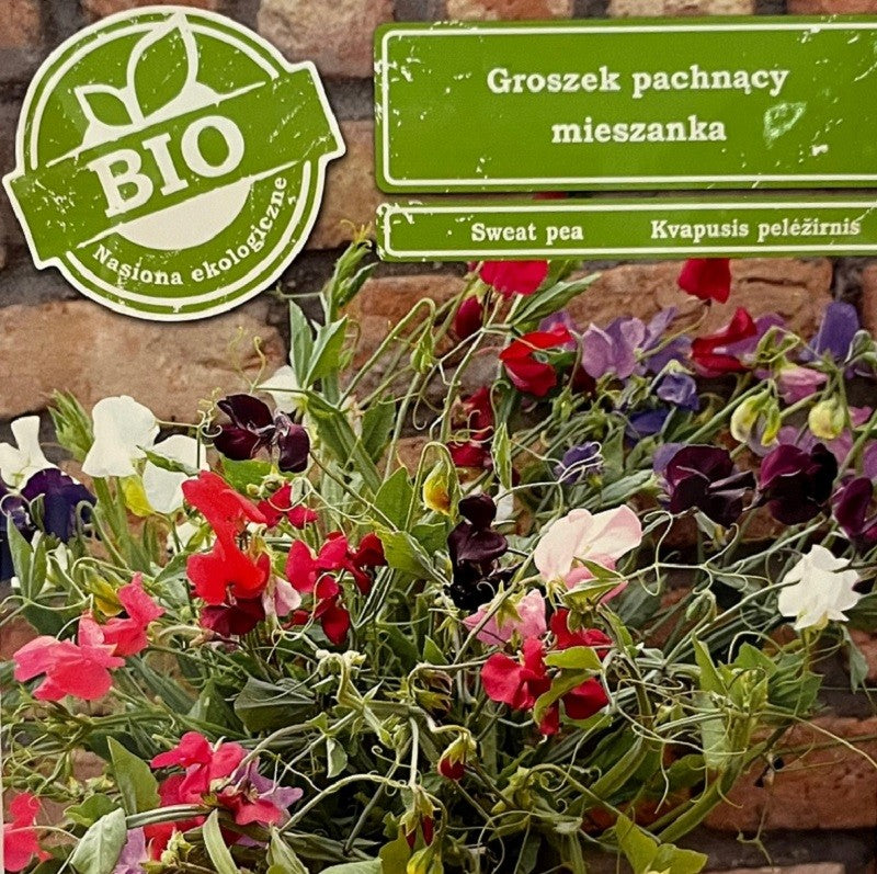Lathyrus Odoratus, økologisk ærteblomst mix
