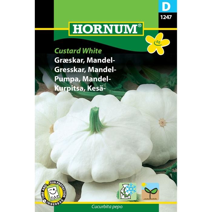 Cucurbita pepo 'Custard White', mandelgræskar