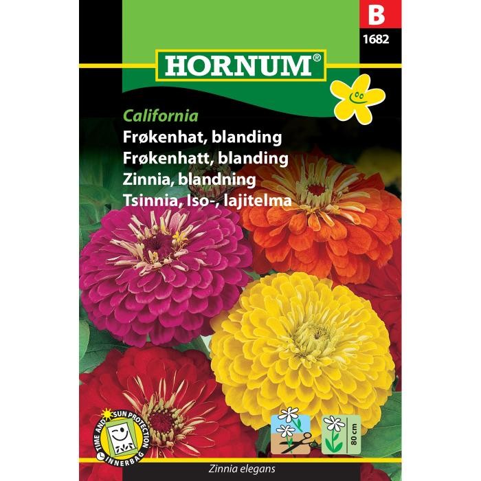 Zinnia elegans 'California', Frøkenhat