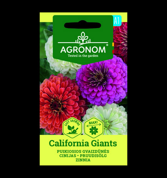 Zinnia elegans dahlienflora 'California Giants'