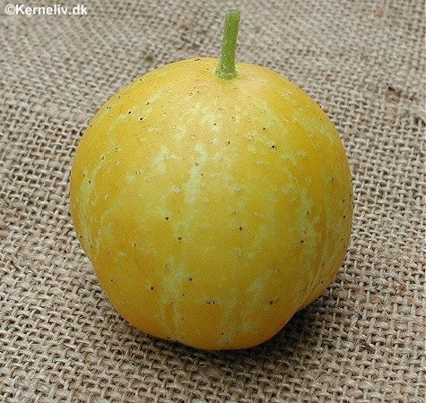 Citronagurk 'Limo’