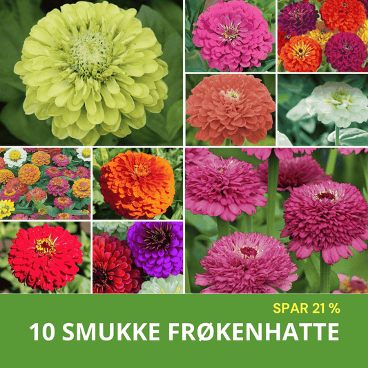 10 SMUKKE FRØKENHATTE