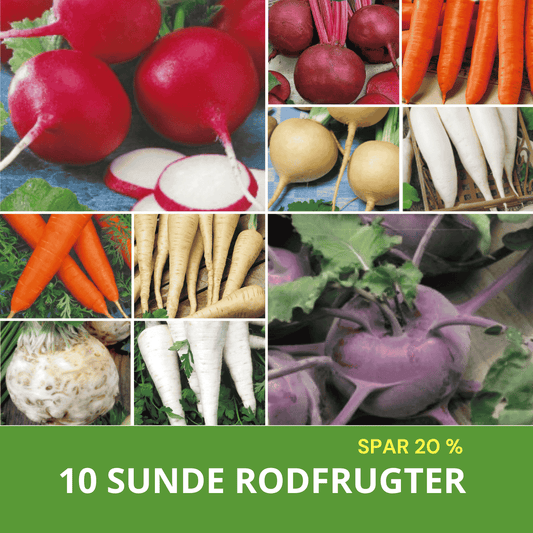 10 SUNDE RODFRUGTER