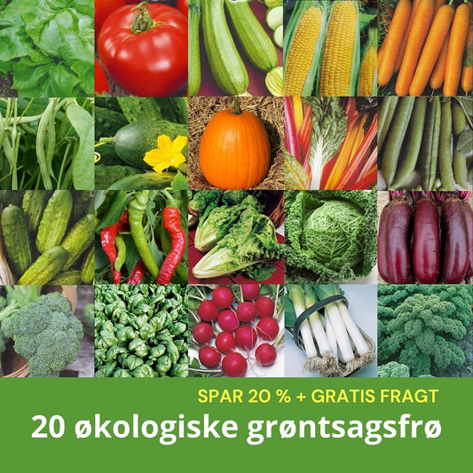 ØKOLOGISKE GRØNTSAGER, 20 udvalgte frøsorter