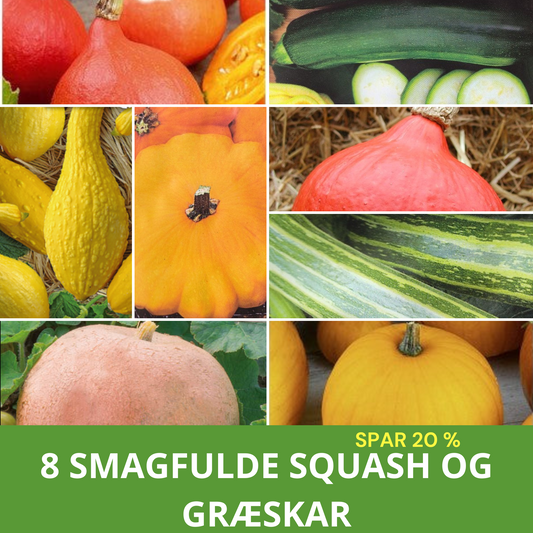 8 SMAGFULDE SQUASH OG GRÆSKAR