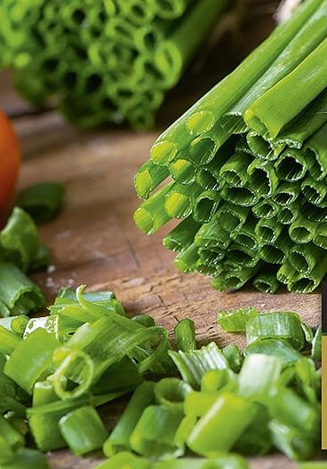 Evergreen - Bunching Onion