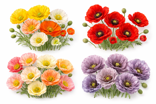 Vidunderlige Valmuer