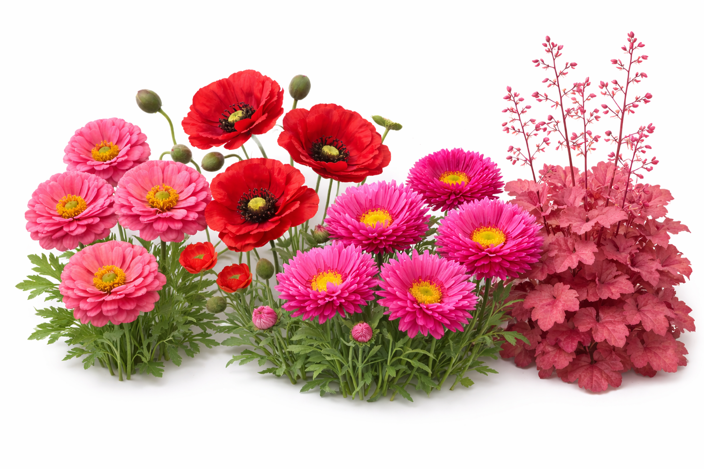 Den rosa-røde blomsterhave