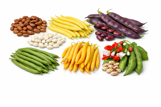 7 SPÆNDENDE BØNNER