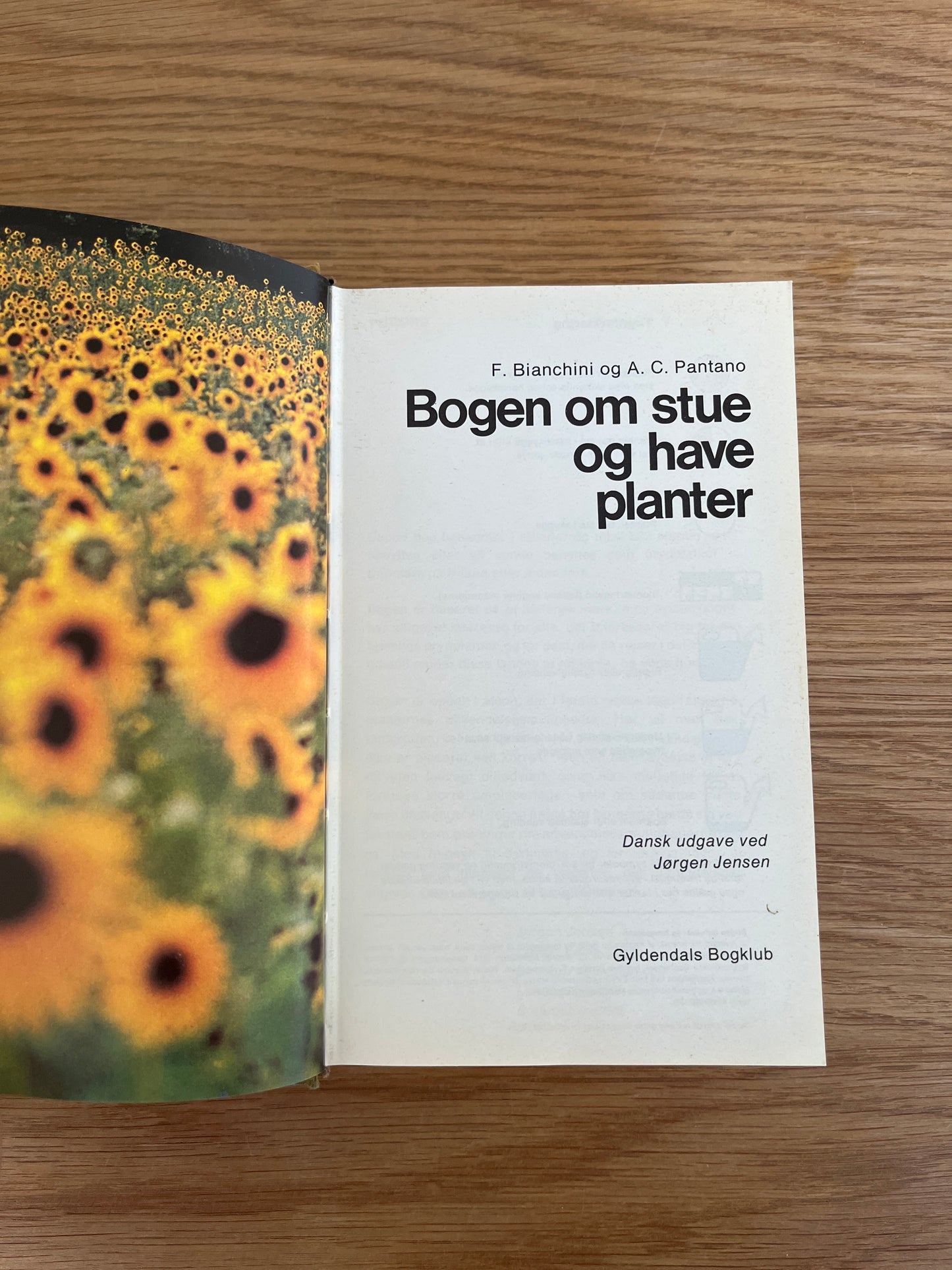 'Bogen om stue- og haveplanter' af F. Bianchini m.fl.