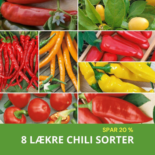 8 LÆKRE CHILI SORTER