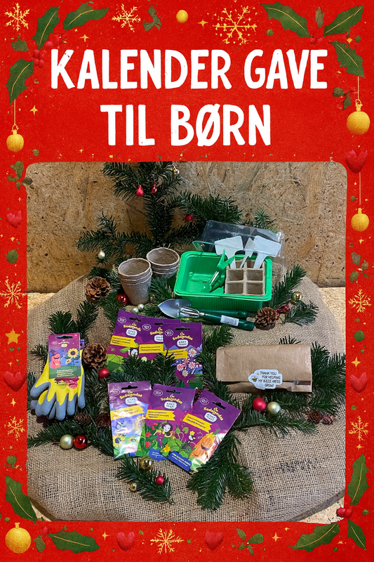 Spirende Adventsgave til børn