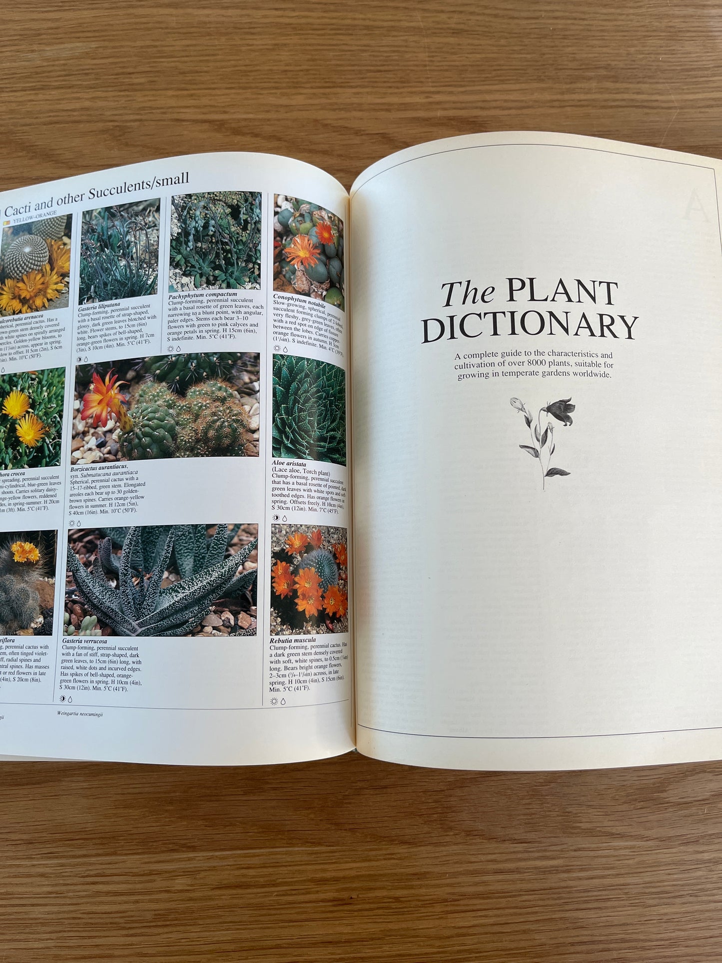 Gardeners' Encyclopedia of Plants and Flowers