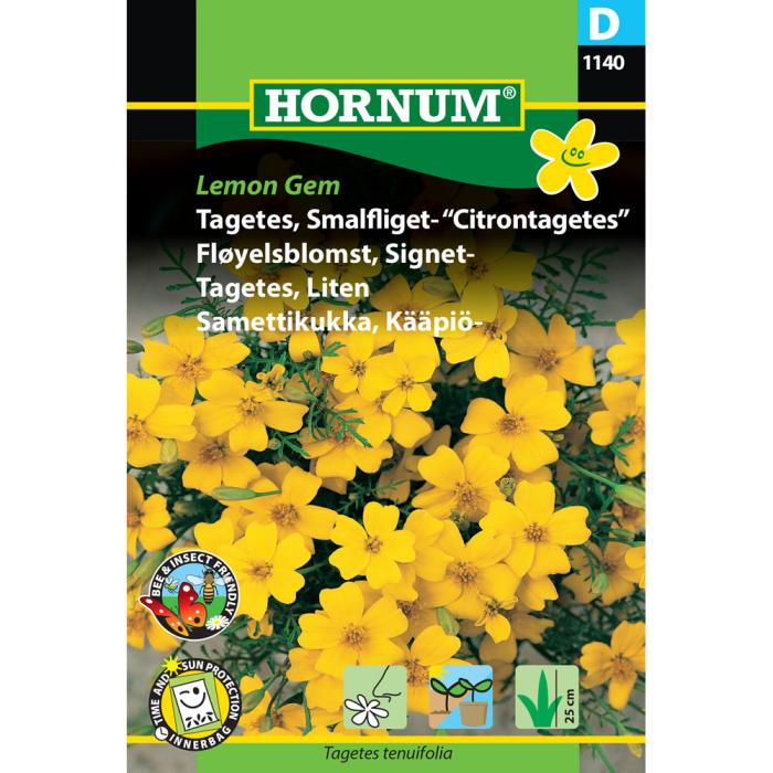 Citrontagetes, Tagetes tenuifolia 'Lemon Gem'