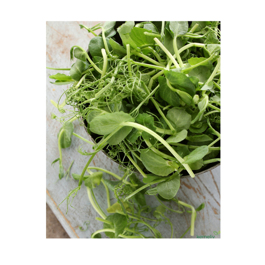 Microgreens Ærteskud 100g