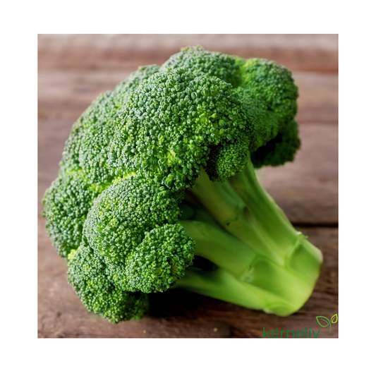 Broccoli ´Ramoso Calabrese`