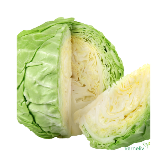 Hvidkål - Jubilee H