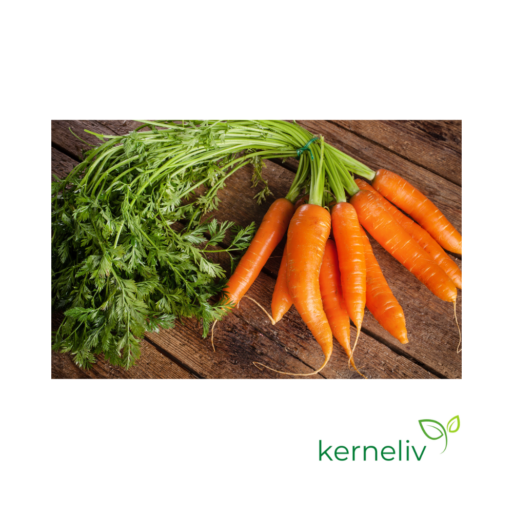 Sommer Gulerod - Økologisk