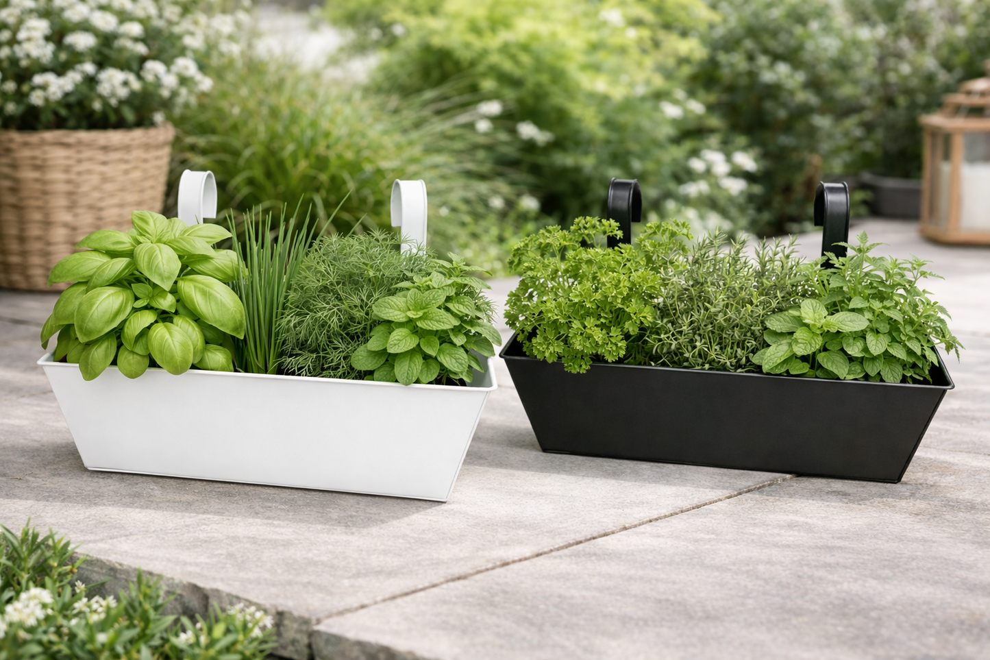 Altankasse med krydderurter