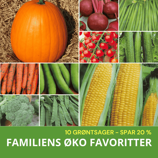 FAMILIENS ØKO FAVORITTER (10 GRØNTSAGSFRØ)