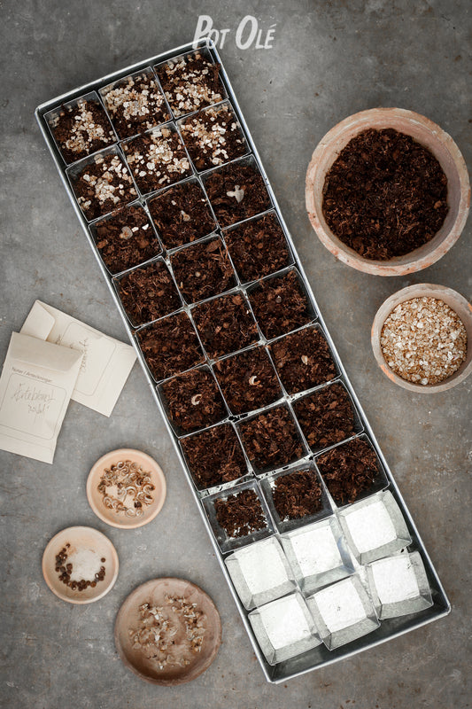 Spirebakke i zink med 30 potter