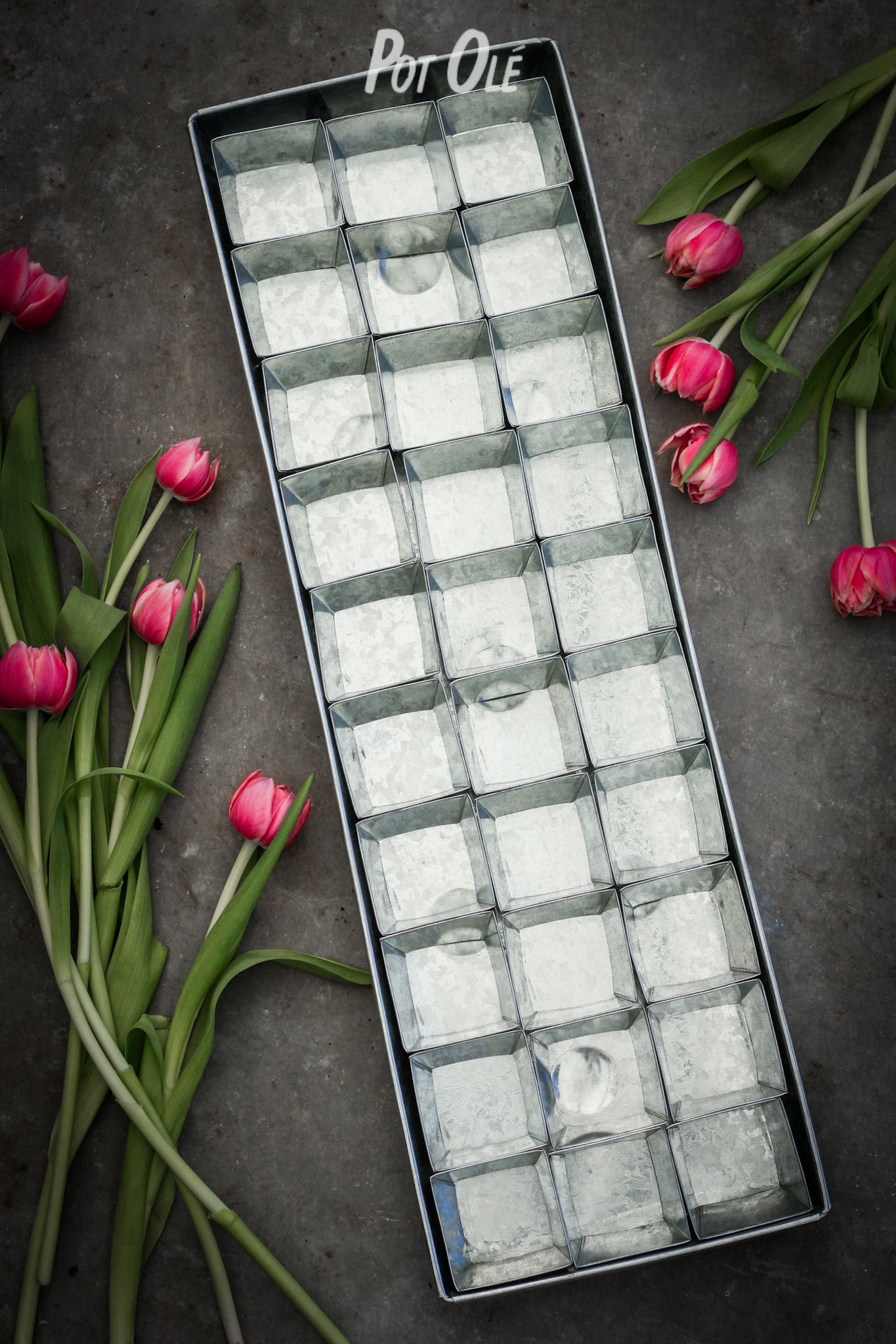 Spirebakke i zink med 30 potter