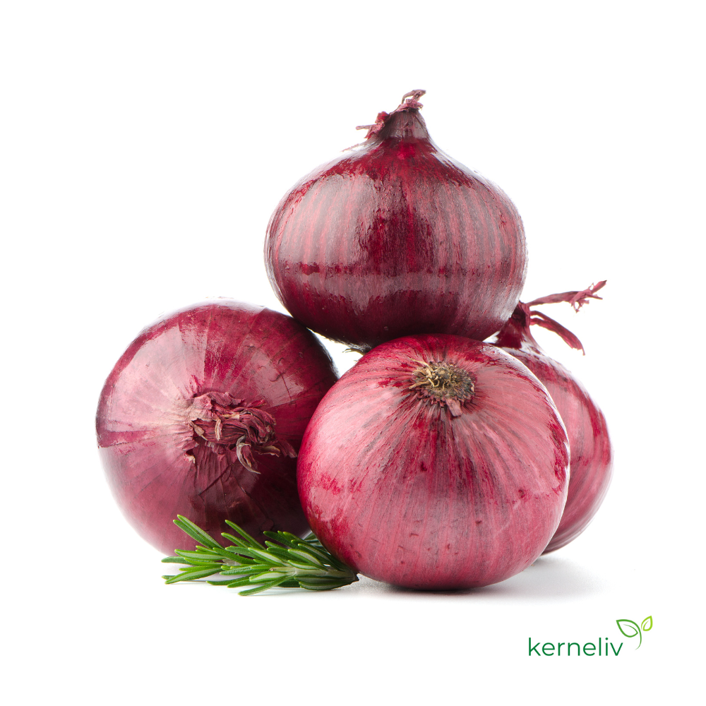 Rødløg 'Grenada'
