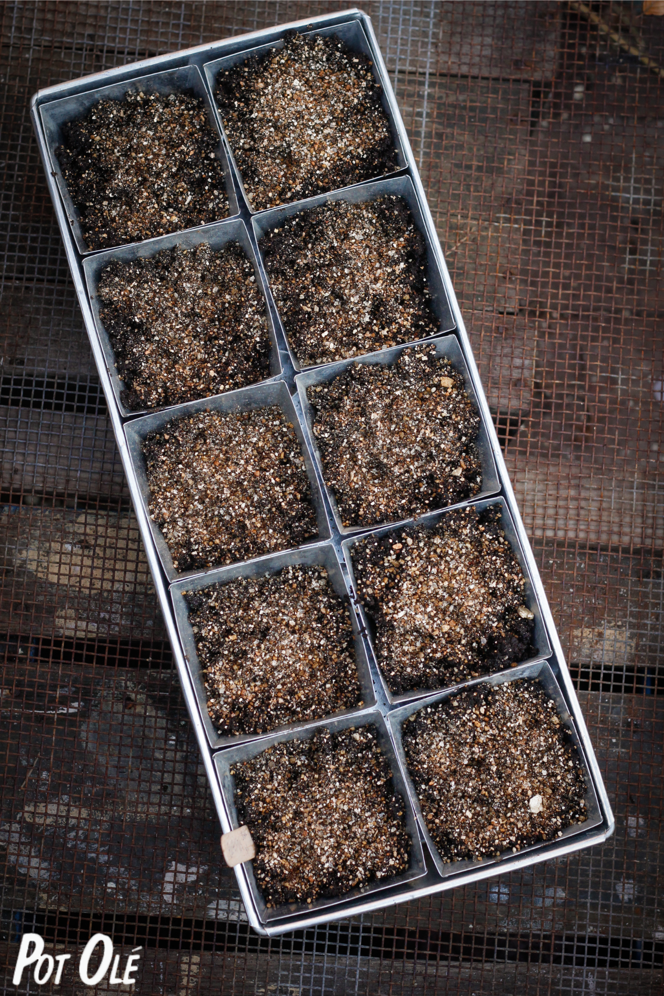 spirebakke i zink med 10 potter