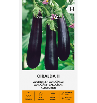 Aubergine - Giralda