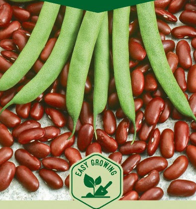 BØNNE DVÆRGSKAL CANADISK VIDUNDER