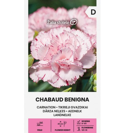 Nellike 'CHABAUD BENIGNA'