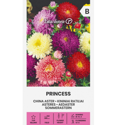 Sommerasters 'PRINCESS'