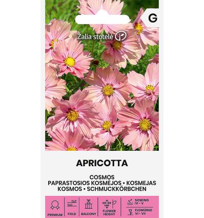 'Stolt Kavaler, Cosmos 'Apricotta'