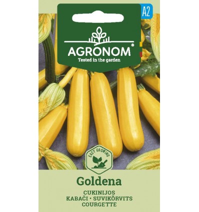 Courgette 'GOLDENA'