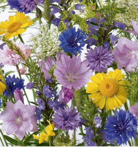 Mosquito and tick reppelent mix