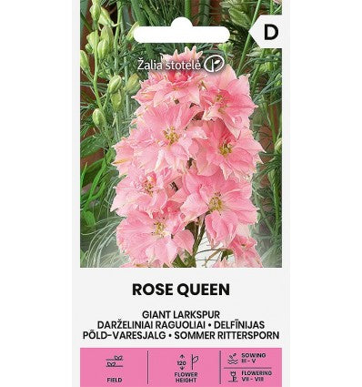 Ridderspore 'ROSE QUEEN'