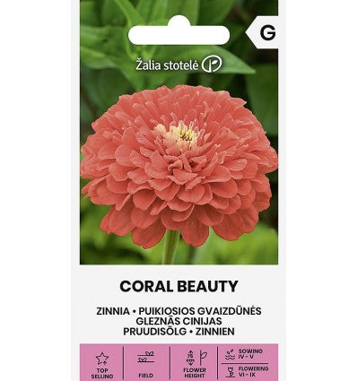 Zinnia 'CORAL BEAUTY' Frøkenhat