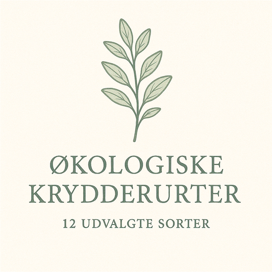 ØKOLOGISKE KRYDDERURTER, 12 udvalgte frøsorter