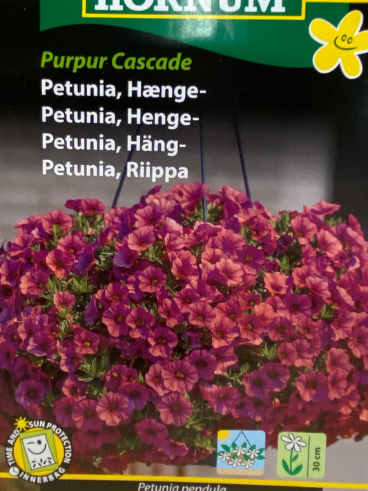 Hænge petunia