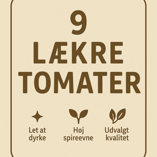 9 LÆKRE TOMATER
