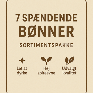 7 SPÆNDENDE BØNNER