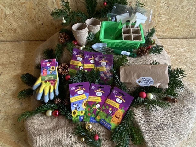 Spirende Adventsgave til børn