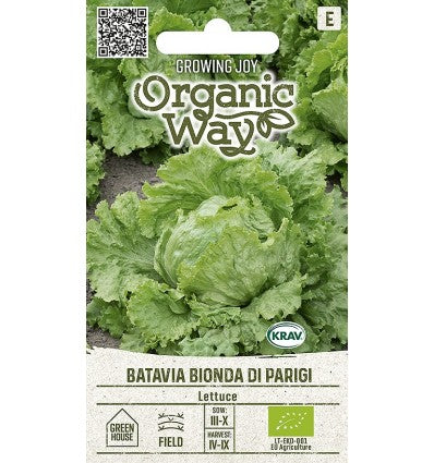 LETTUCE BATAVIA BIONDA DI PARIGI