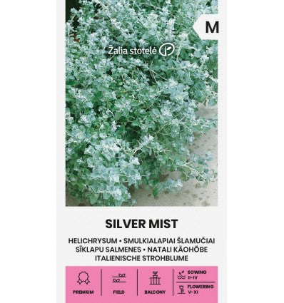 Grå evighedsblomst 'Silver Mist'