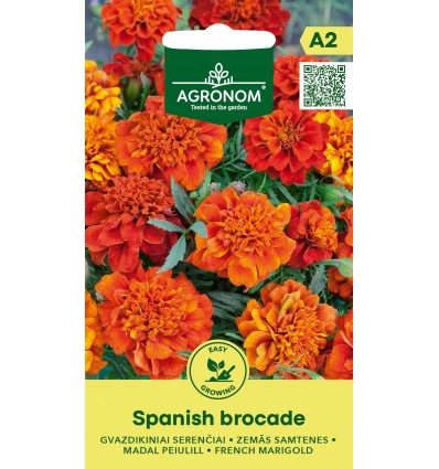 Tagetes 'Spanish Brocade'