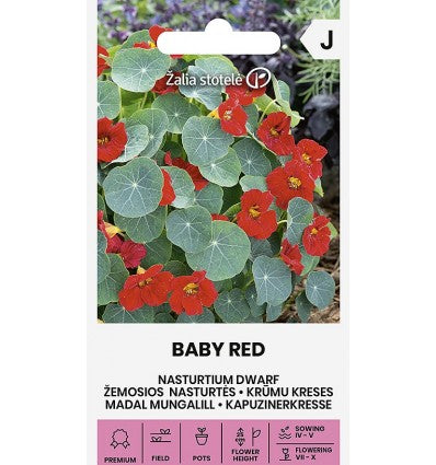 Blomsterkarse 'Baby Red'