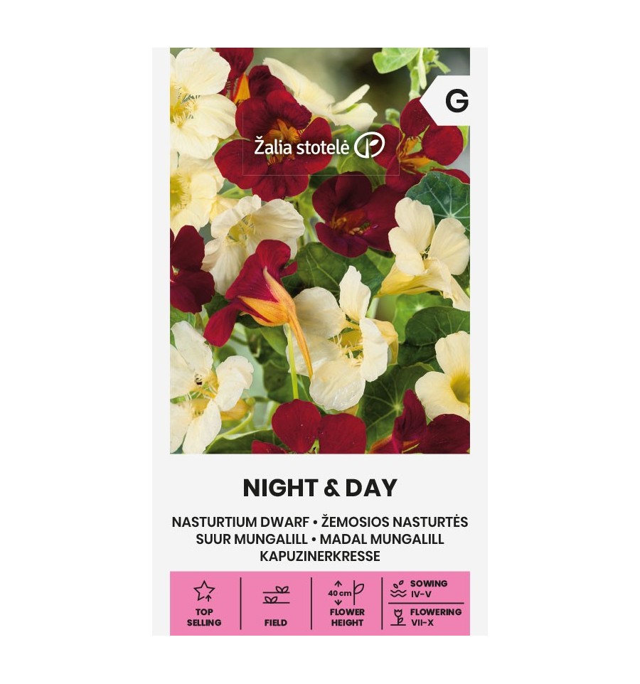 Blomsterkarse 'Night & Day'