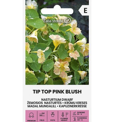 Blomsterkarse 'TIP TOP PINK BLUSH'