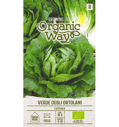 OW LETTUCE VERDE DEGLI ORTOLANI