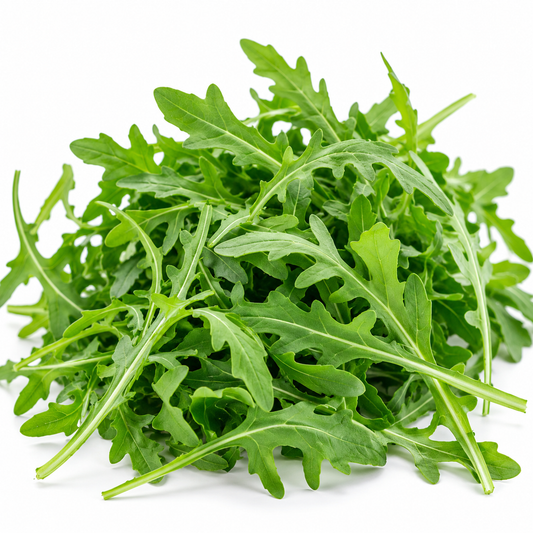 Økologisk Rucola